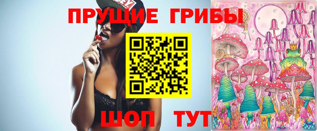 Псилоцибиновые грибы прущие грибы  Вход с VPN  Псилоцибиновые грибы GOLDEN TEACHER  Котлас 