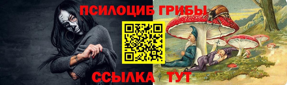 Галлюциногенные грибы мицелий Котлас